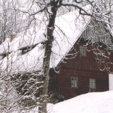 Zima 2006